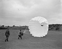 DM40-51.jpg
