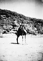 ALB191909144.JPG