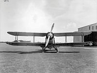 WgF480.JPG