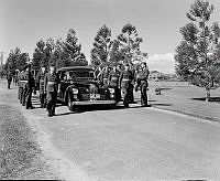 WhG5212-53_1.JPG