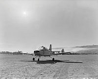 WgG1474-78.jpg