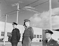 PR3137_1.JPG