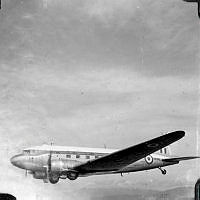 ALB971531320.jpg