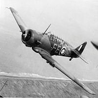 MUS990822_1.jpg