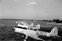 ALB1617713145.jpg