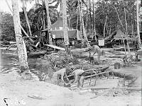 PR3277.JPG