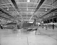 OhG2188-89.jpg