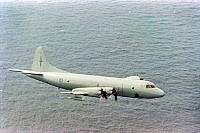 2026-096.3_p4_1.JPG