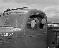 DM98-51.jpg