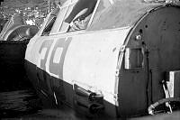 DWNZ939a.jpg