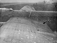 MUS050182_1.jpg
