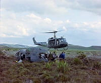 CrNZ3813II5.JPG