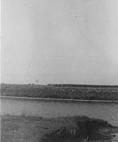ALB920382b092.jpg
