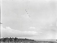 PR3398.JPG