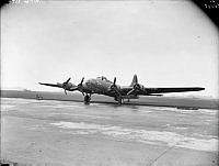 WhG347-42_1.JPG
