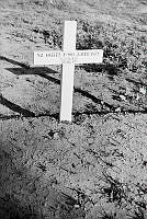 PR7836.jpg