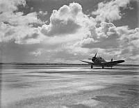 PR1568.jpg
