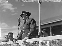 PR602.jpg