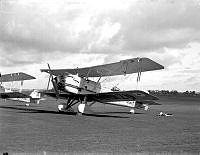 HbP544.jpg