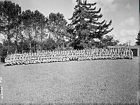 WhG1243-43_1.JPG
