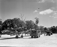 PR4368.jpg