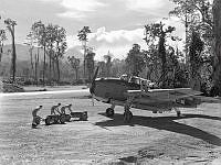 PR3239.jpg