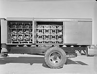 WgG12459-62.JPG