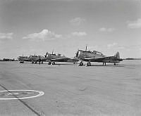 DM216-52.jpg