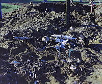 CrNZ6203I1.JPG