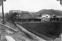 ALB13191089.jpg