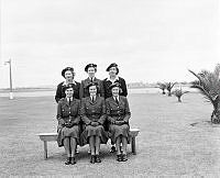 WhG3325-52_1.JPG
