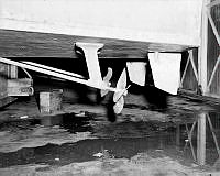 WhG10325-56.JPG