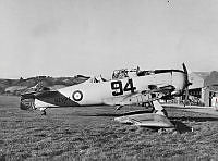 OhG1196-82.JPG