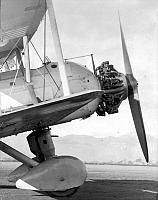 MUS03043.jpg