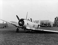 MUS1001817.jpg