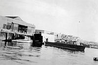 ALB2604117041.jpg