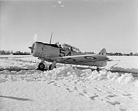 WgG5690-45.jpg