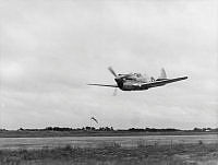 MUS02102.jpg