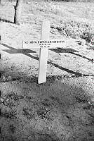 PR7835.jpg