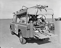 WgG381-65.JPG