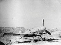 MUS0901414.jpg