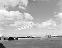 OhG9363-59.JPG