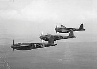 MUS980439.jpg