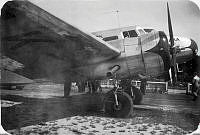ALB933372027.jpg