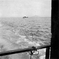 ALB844621c116.jpg
