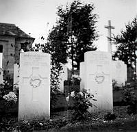 1993-019.15y.jpg