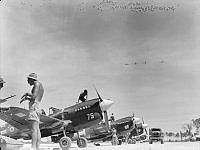 PR3257.JPG