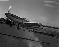 WgG2043-51.jpg
