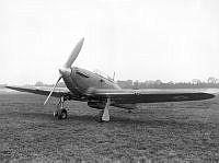 MUS1001324.jpg