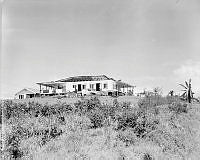 LbG248-52_1.JPG